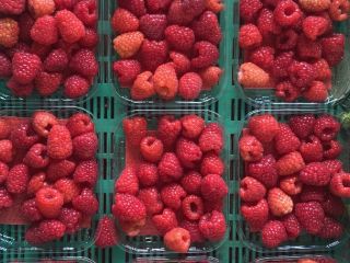 Hello, we produce tunnel raspberries, red currants, blueberries, we