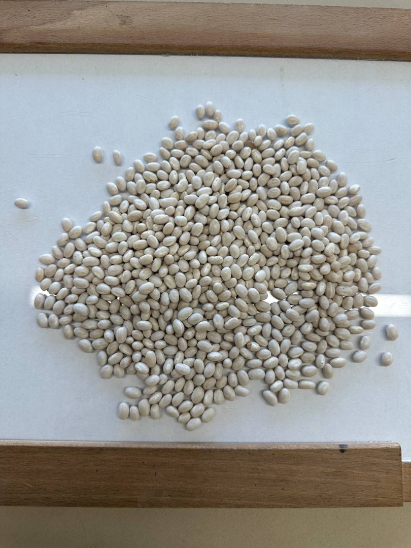 Good day! Dear customers, We are the company: FLAX TRADE GROUP LTD from Ukraine, we are pleased to offer you high-quality peeled white bean seeds for export