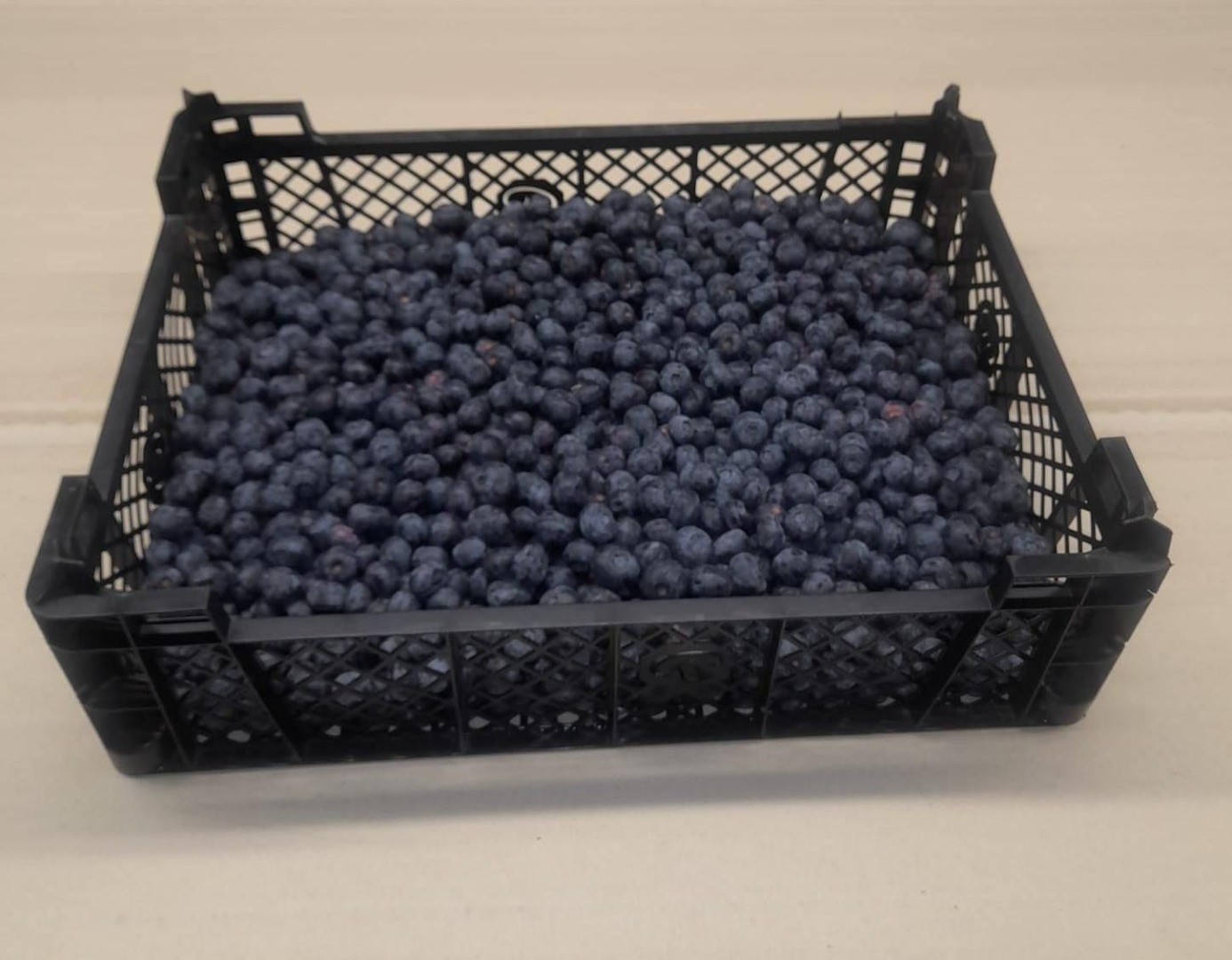 Good day! We would like to offer you 1st class American Blueberries in wholesale quantities