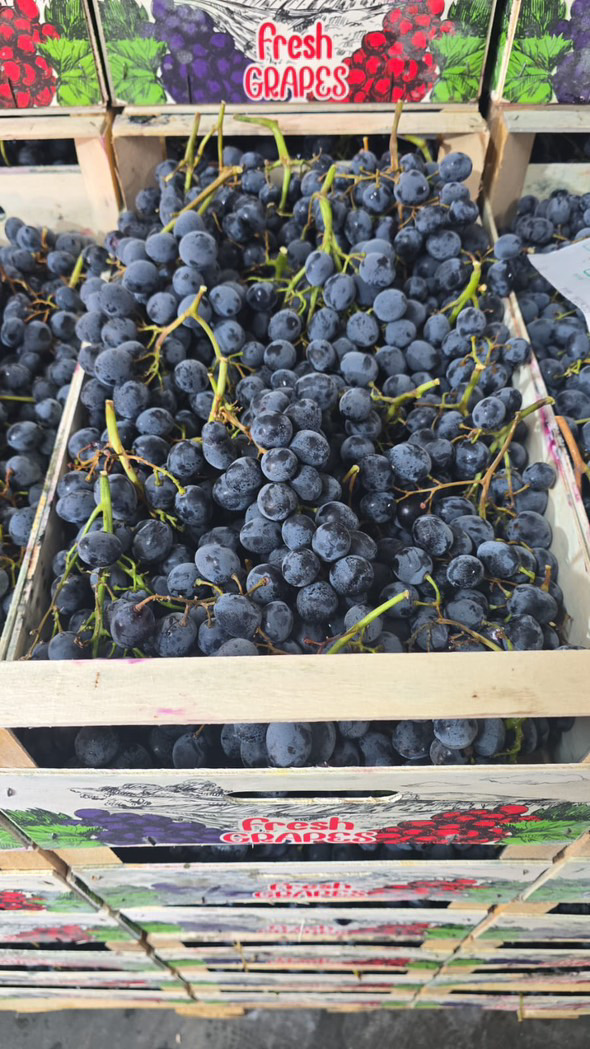 I own over 70 tons of black table grapes Quality 1