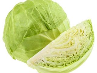 I'm looking for white cabbage for industry and also