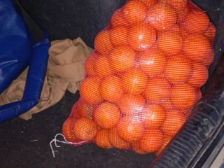 High quality palm juice oranges from the river are
