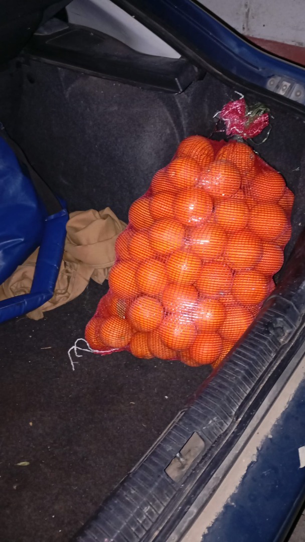 High quality palm juice oranges from the river are sent to all of Spain