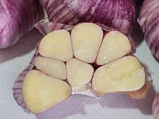 Purple garlic harvested in December 2024, already dried. I