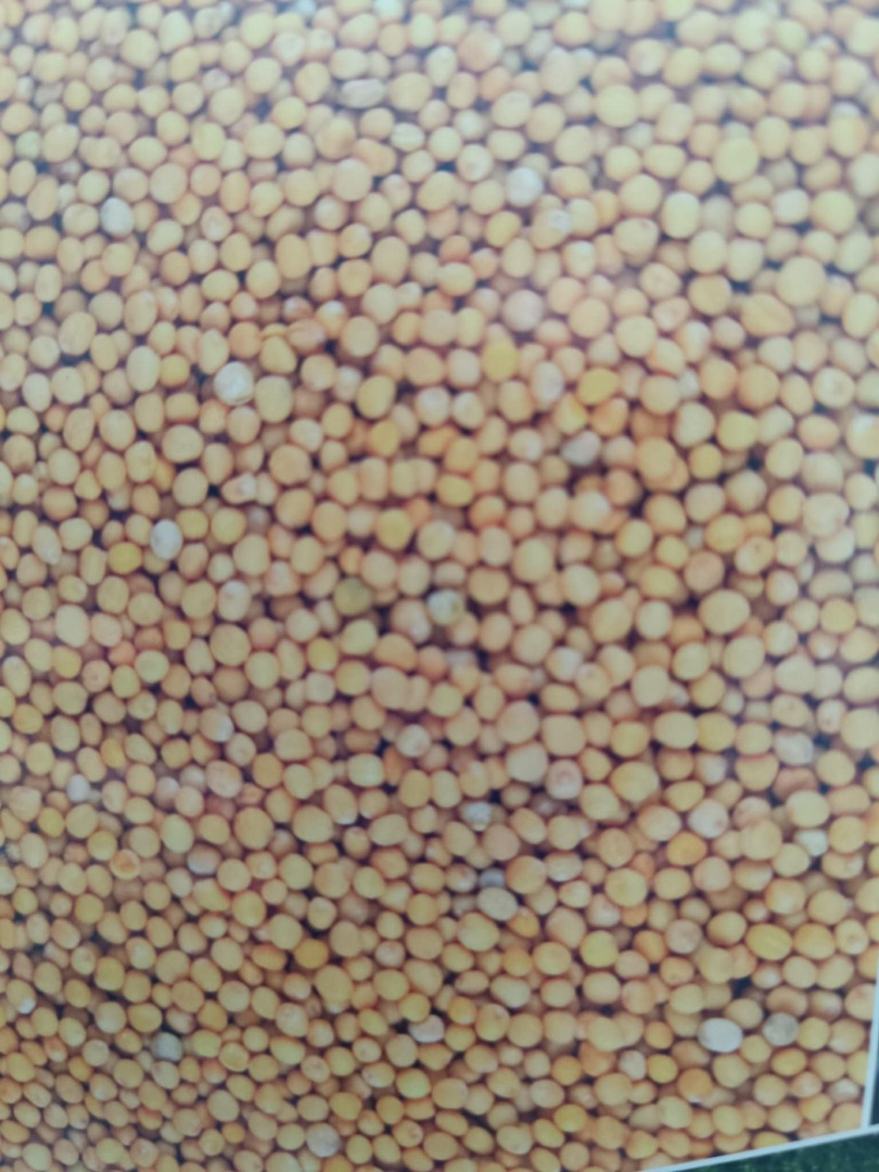 I will sell dry, clean mustard