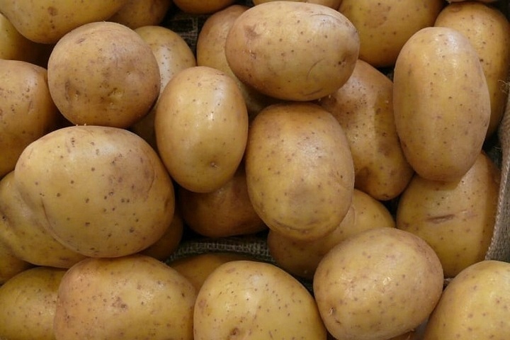 Table potatoes – wholesale of the highest quality We offer: Varieties: Lilly, Colomba and others