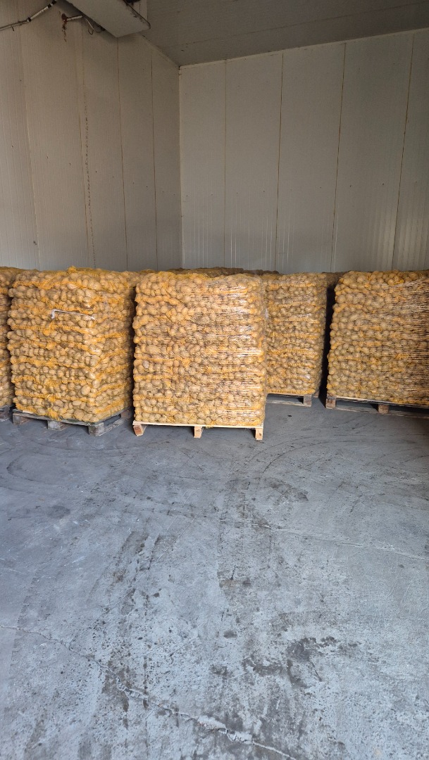 Hello, I will sell, for example, a potato packed in 10kg after brushes, nice and clean, telephone contact