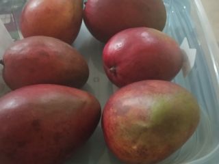 Premium quality organic mango, grown with care and the