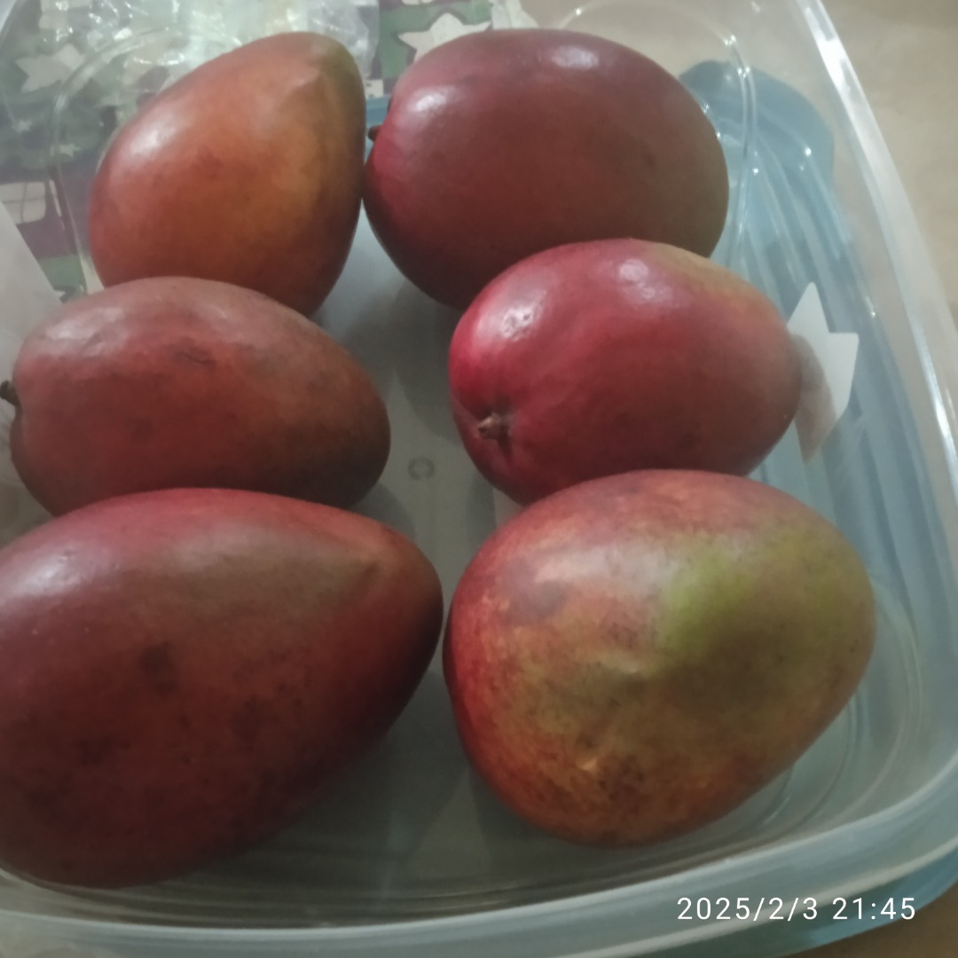 Premium quality organic mango, grown with care and the utmost passion, ensures an unbeatable product because the place where this blessed product is grown is a