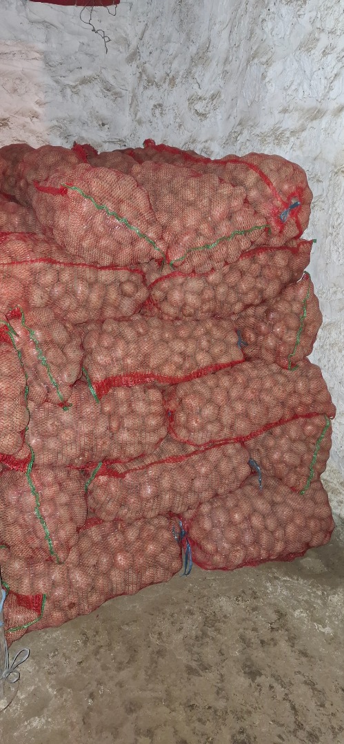 I sell Bellarosa consumption potatoes, quantity 4500 kg, in 25 kg bags, 2 lei/kg