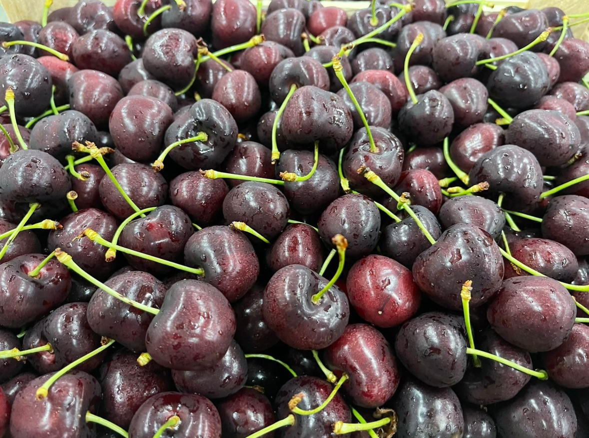 Start of season 10 June to 20 July Variety: Grace Star Sweet Valina Sweet Sarreta Kordia Regina Ferrovia Fertard Total quantity 400 tons of cherry Unitec