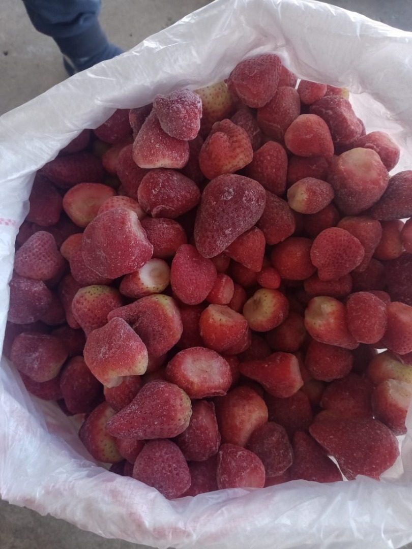 Frozen strawberries first class with the best quality and remaining to international specifications, based on all approved health safety certificates, arriving