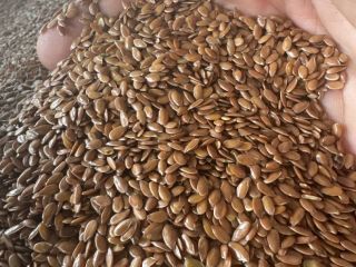 Selling brown flax for export 99.9% moisture up to