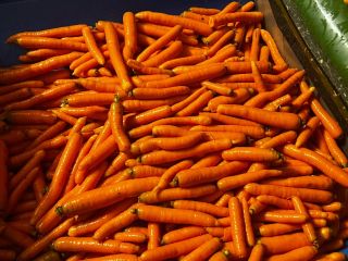 I will sell washed carrots for the market and