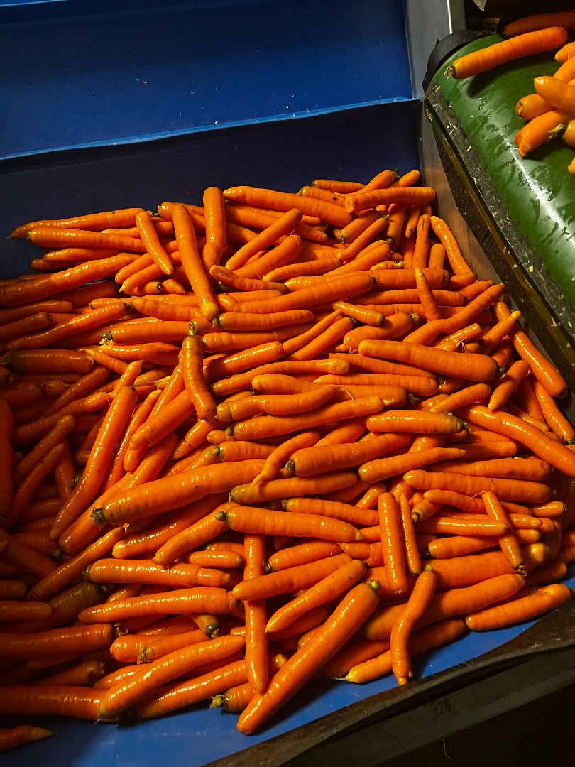 I will sell washed carrots for the market and kilowats