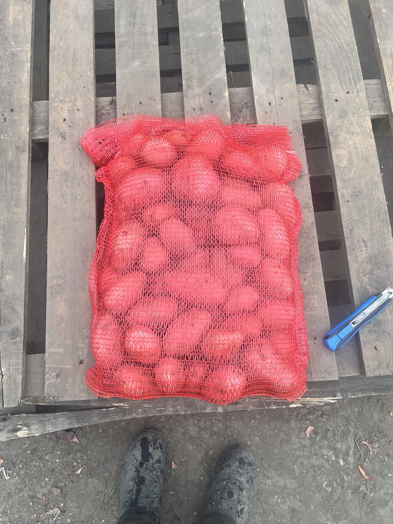 For sale Dining potatoes Redfantasy 45-75 Brushed 10 kg packaging or Big bag 1t-50t 0620\9521564 [phone number] English and German please in this email