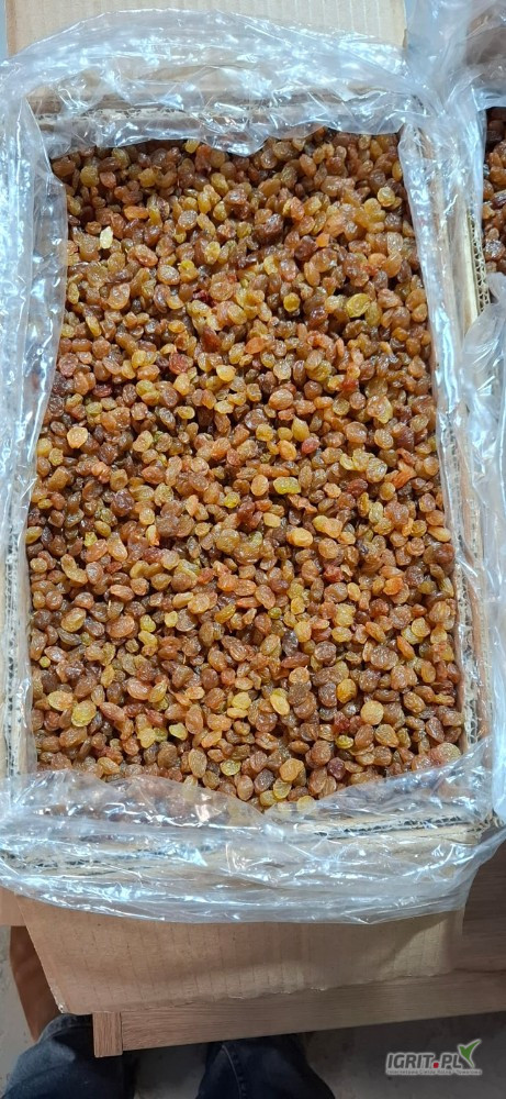 We are a company that is a direct importer from Iran (and Uzbekistan) of nuts and dried fruit