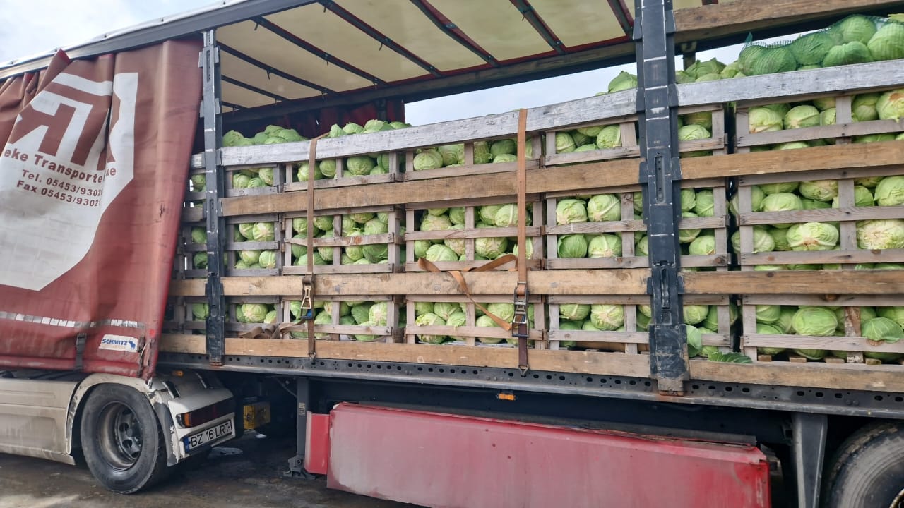 FIA GOGOT FRUIT GREECE SALONIK, WILL BRING BACK THE FRESHNESS OF VEGETABLES FROM THE WINTER SPRING SEASON WITH FRESH CABBAGE, AND PRODUCER PRICE WITH LARGE