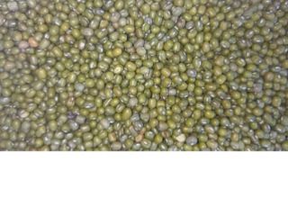 Mung beans, also known as green beans or Chinese
