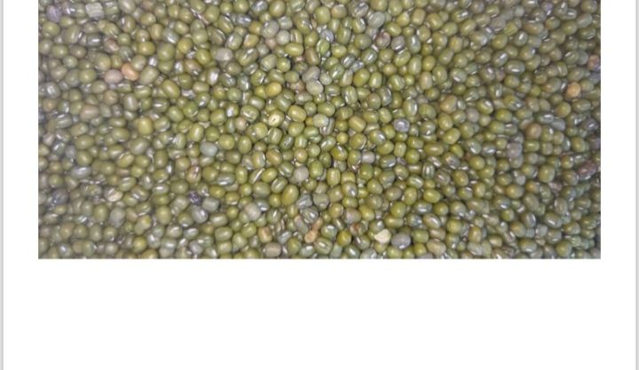 Mung beans, also known as green beans or Chinese beans