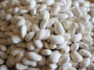 Hello. I offer the sale of white beans Jaś