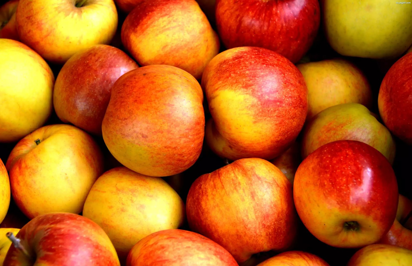 OFFER FOR PURCHASE OF APPLES FOR CONSUMPTION AND INDUSTRIAL PURPOSES Dear Sirs, We are looking for suppliers of apples for consumption and industry