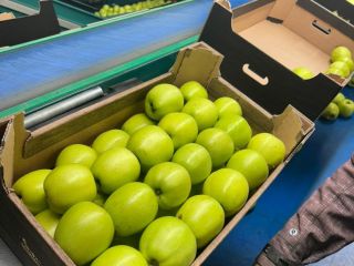 Golden Delicious is a popular apple variety known for