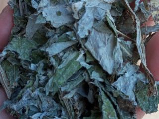 Artichoke for sale - direct harvest for floor drying,