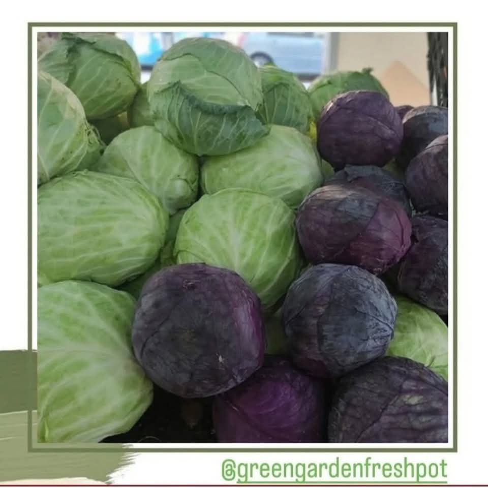 I sell cabbage all year round