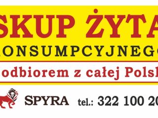 I will buy rye for human consumption, hybrid variety,