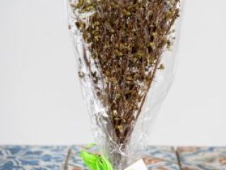 ORGANIC Oregano in 30g bunches Our oregano is a
