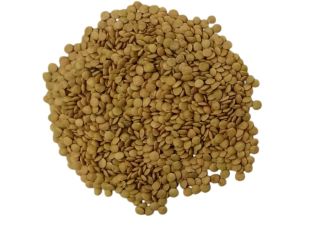 Green lentils 99.5% purity. Price DDP FTL PL, SK,