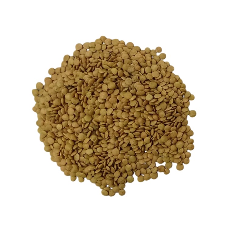 Green lentils 99.5% purity