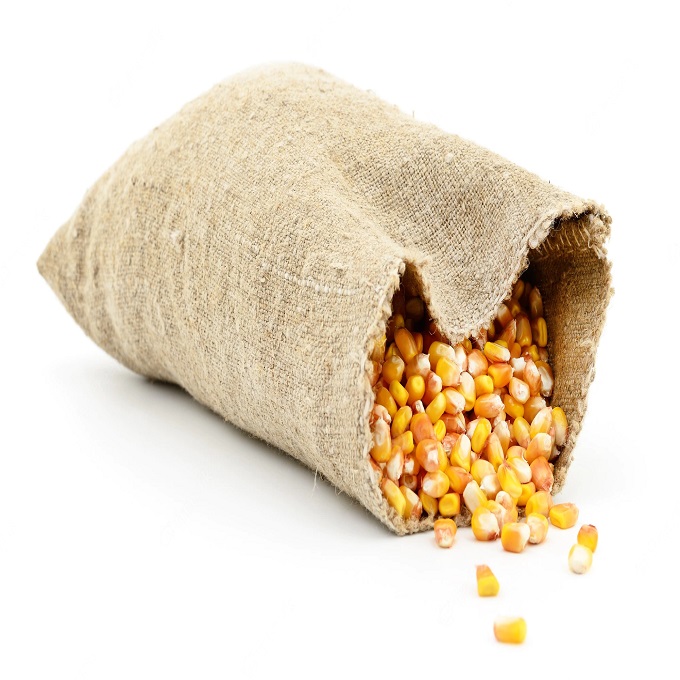 Storage Type Dried Specification Dried Maize Shelf Life 24 Months Manufacturer Factory Ingredients Dried Maize Content Maize Instruction for use Human