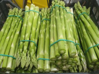 I will sell green asparagus, celadons, from April