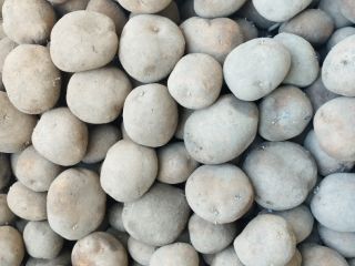 I will sell edible potatoes Vineta caliber 50+, very