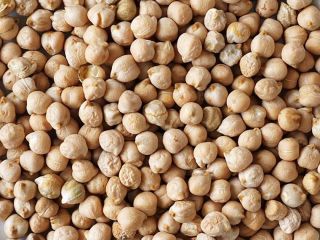 I am selling chickpeas, harvest 2024, for seed, burna