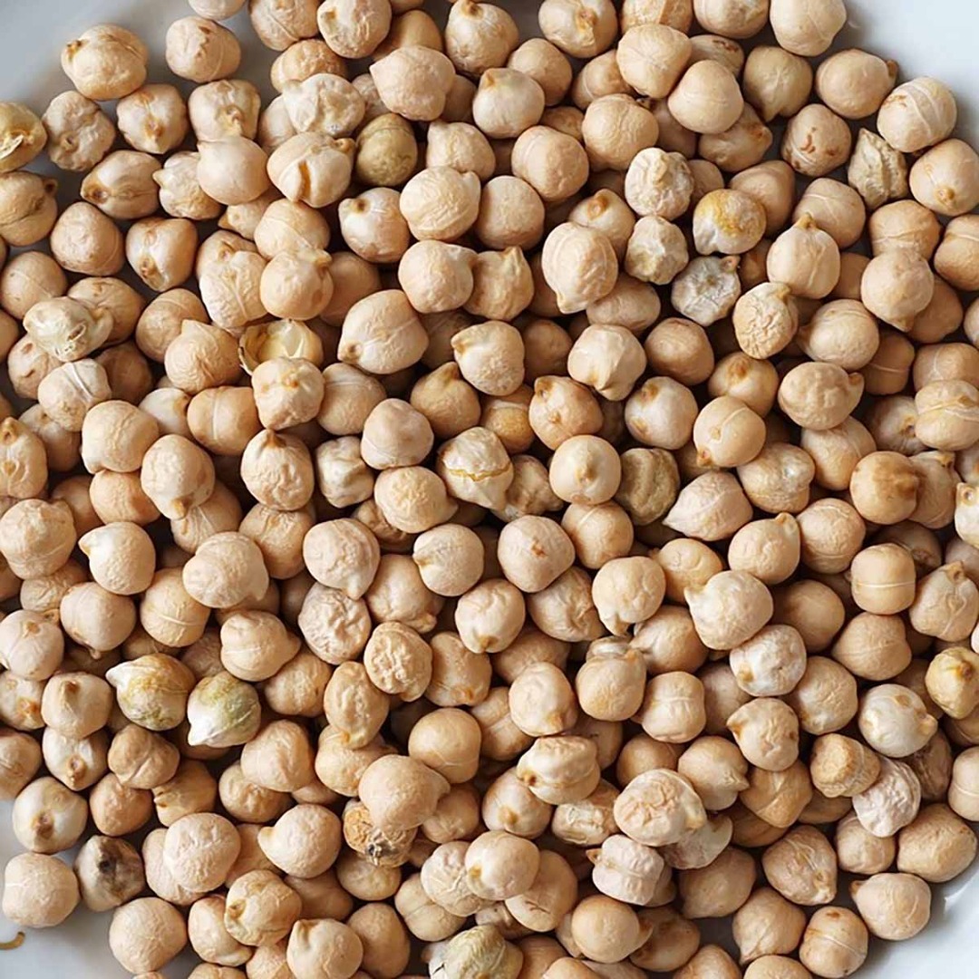 I am selling chickpeas, harvest 2024, for seed, burna variety