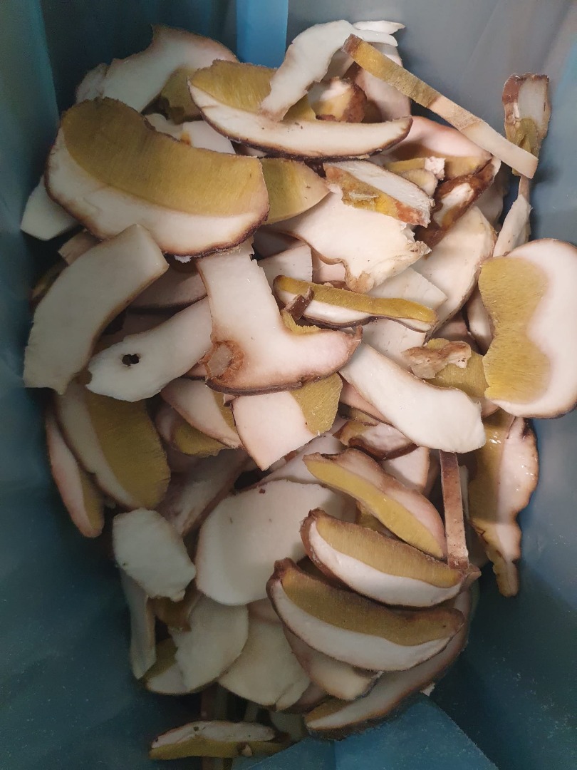 Sliced boletus edulis, top quality