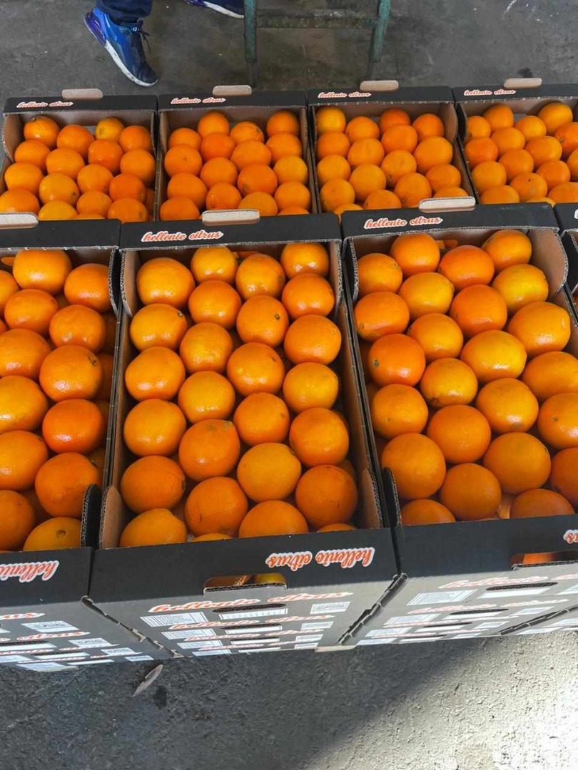 fresh goods harvested on the day of loading...top oranges packed at the customer's request in 15 kg crates or calibrated cardboard boxes...loading in Greece or