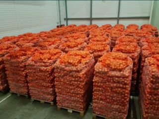 Hello, I will sell 500t+ onions. Polish and Lithuanian