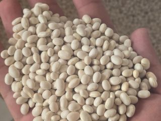 I sell beans, quality 1, wholesale price 6 lei