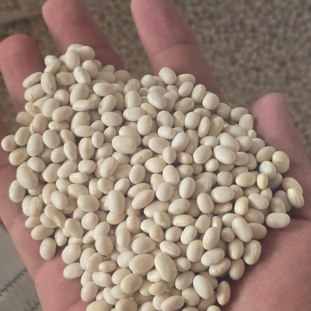I sell beans, quality 1, wholesale price 6 lei per kg in large quantities