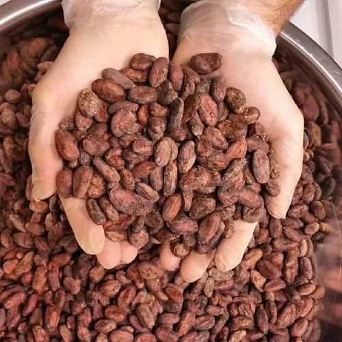Premium Quality Cocoa Seeds for Chocolate Production J