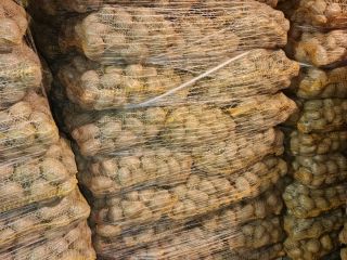 Hello. I have yellow and red potatoes for sale.