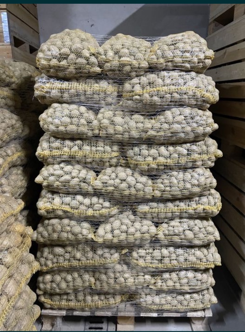I will sell Soraja potatoes, seed size 35-45 mm caliber