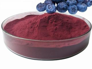 hochwertiges Bio-Produkt aus Bergheidelbeeren in gefriergetrockneter Form mit Bio-Zertifikat.