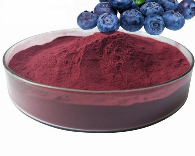hochwertiges Bio-Produkt aus Bergheidelbeeren in gefriergetrockneter Form mit Bio-Zertifikat