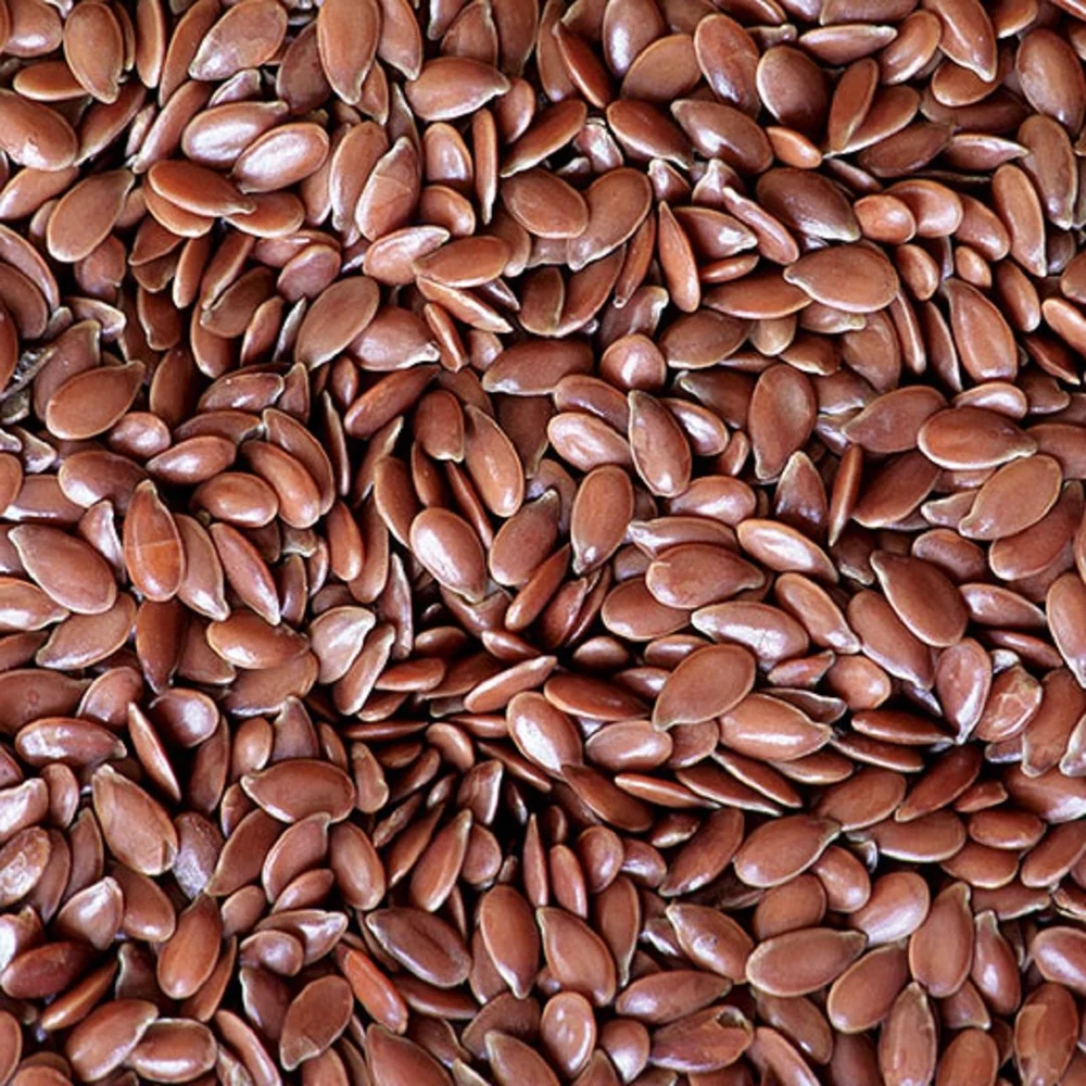 Brown oilseed flax from the southern region of Ukraine