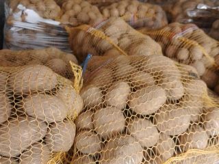 I will sell yellow and red edible potatoes in